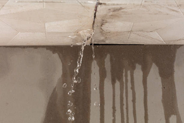 Professional Burst Pipe Cleanup technician working in Pentress, WV